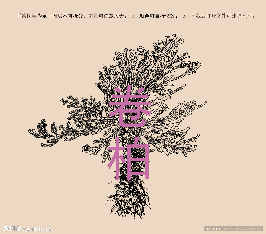 卷柏