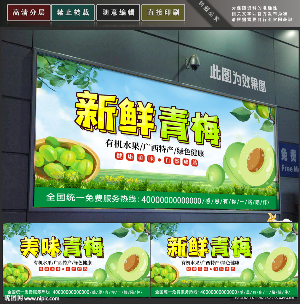 青梅