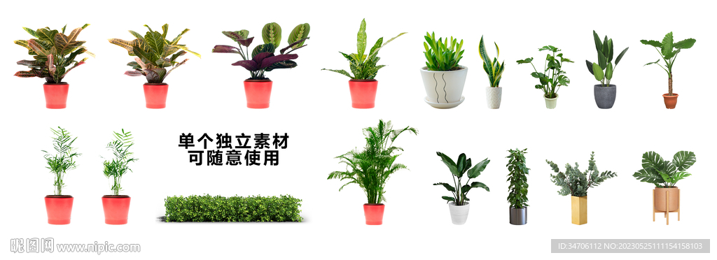 绿植素材亮化树木绿化带