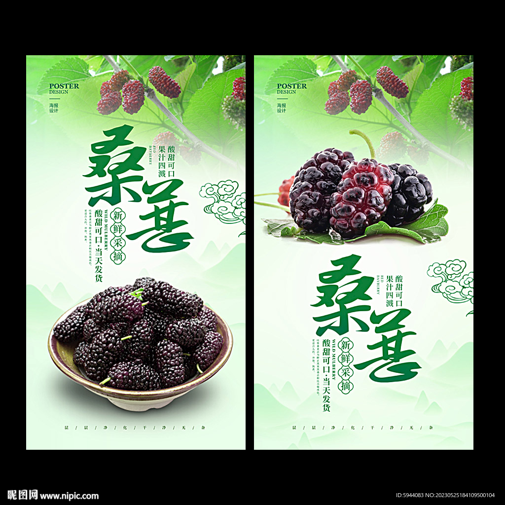 桑葚
