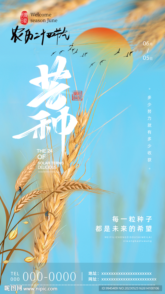 芒种海报