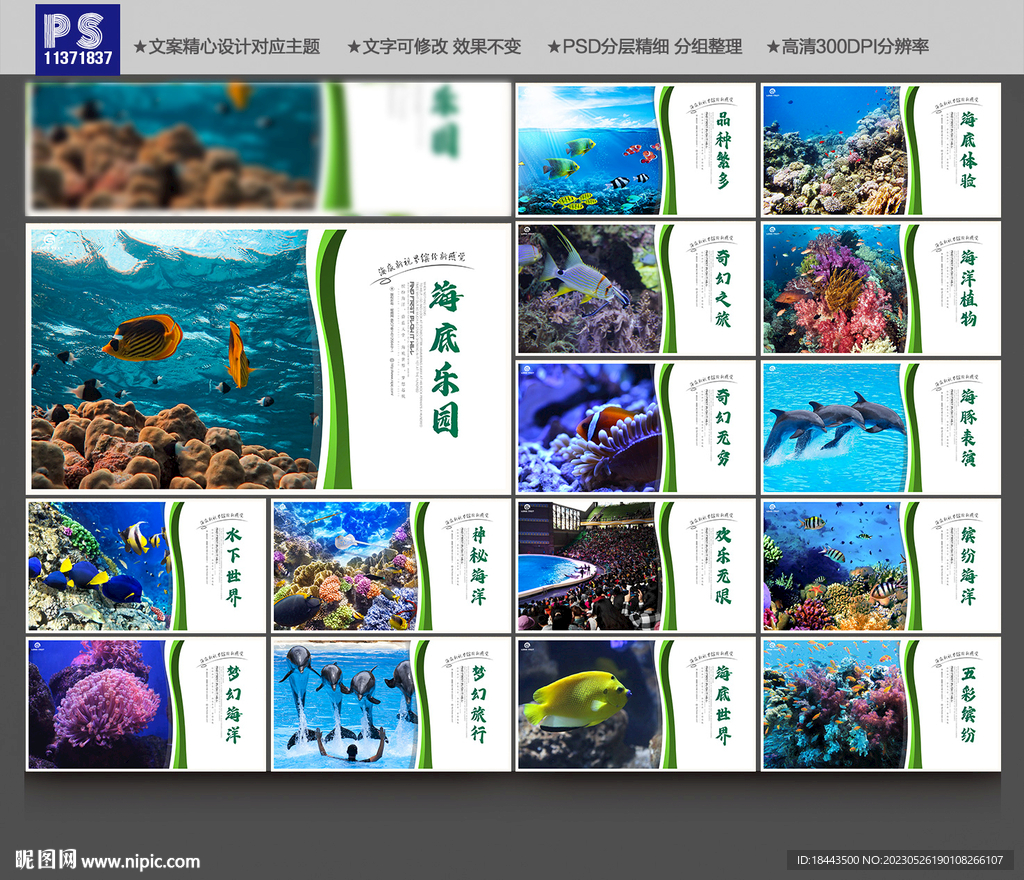 海洋馆