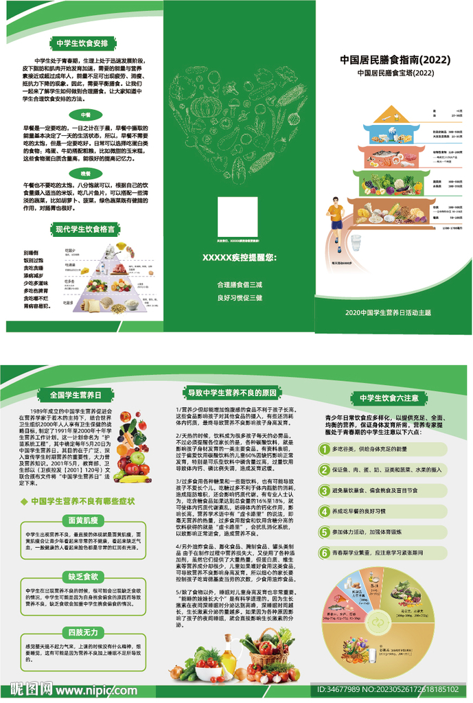 中国居民平衡膳食宝塔520学生