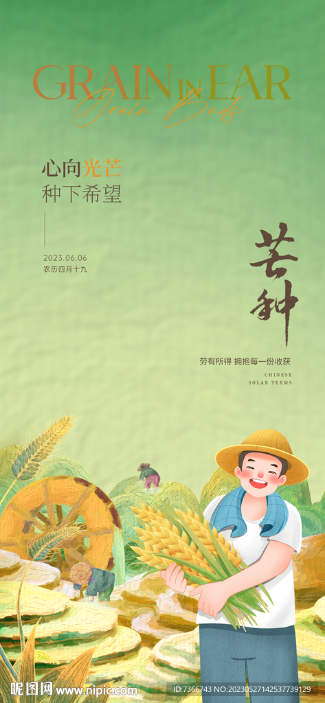 芒种  