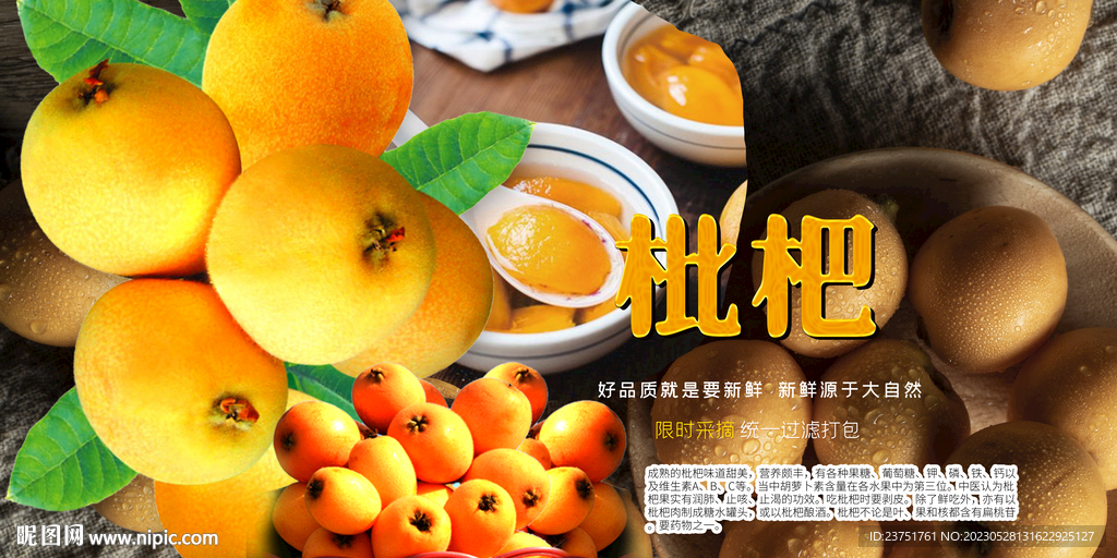 枇杷采摘 
