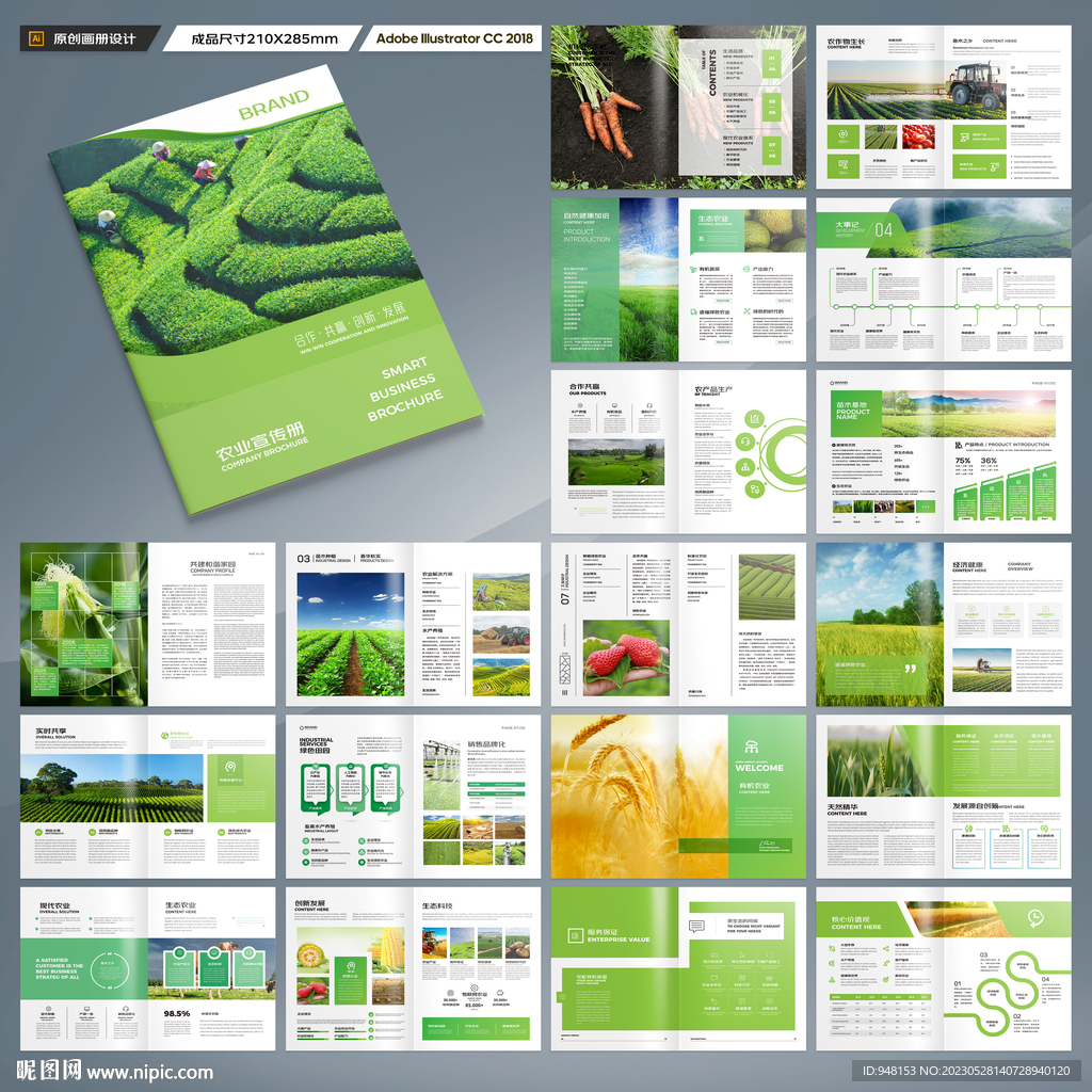农产品宣传册