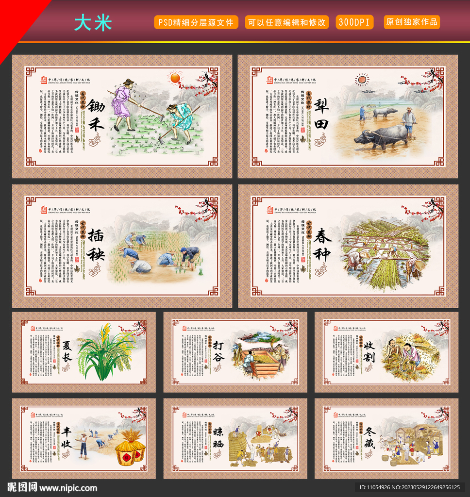 大米