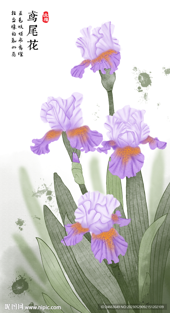 鸢尾花