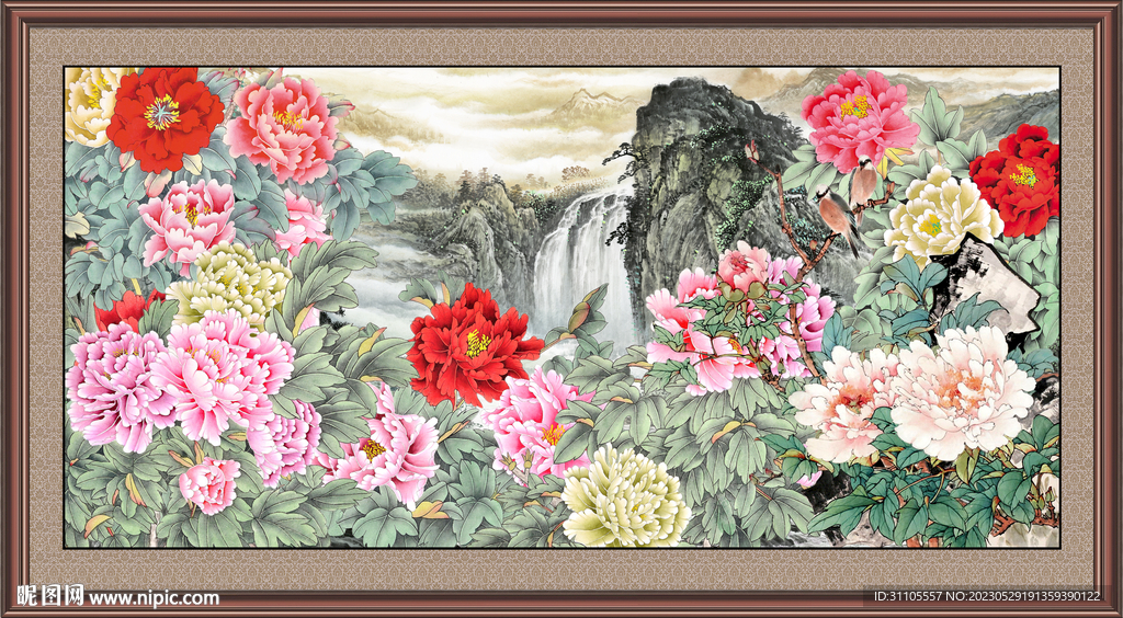  富贵花开 