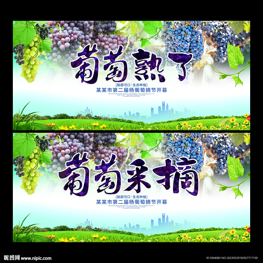 葡萄
