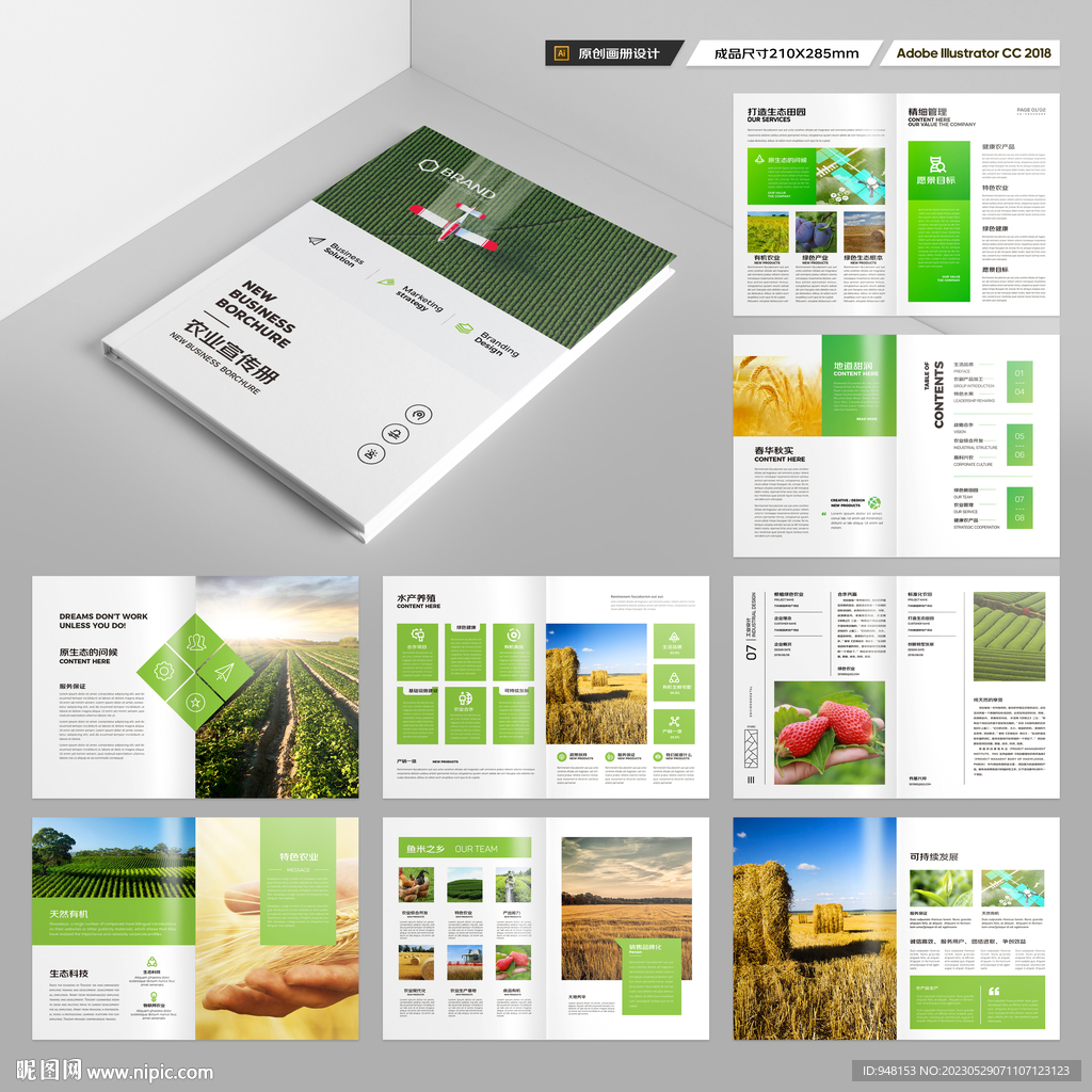 农产品宣传册