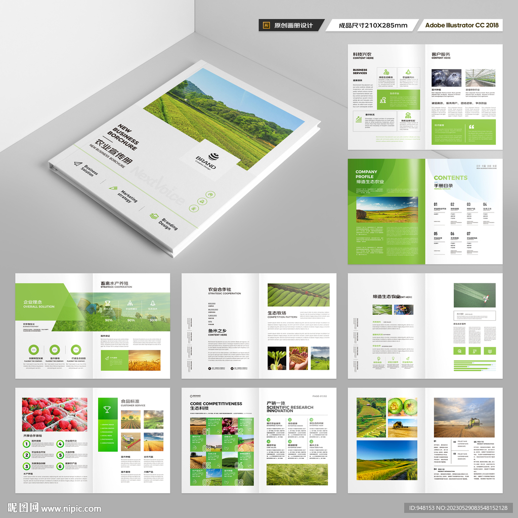 农产品宣传册