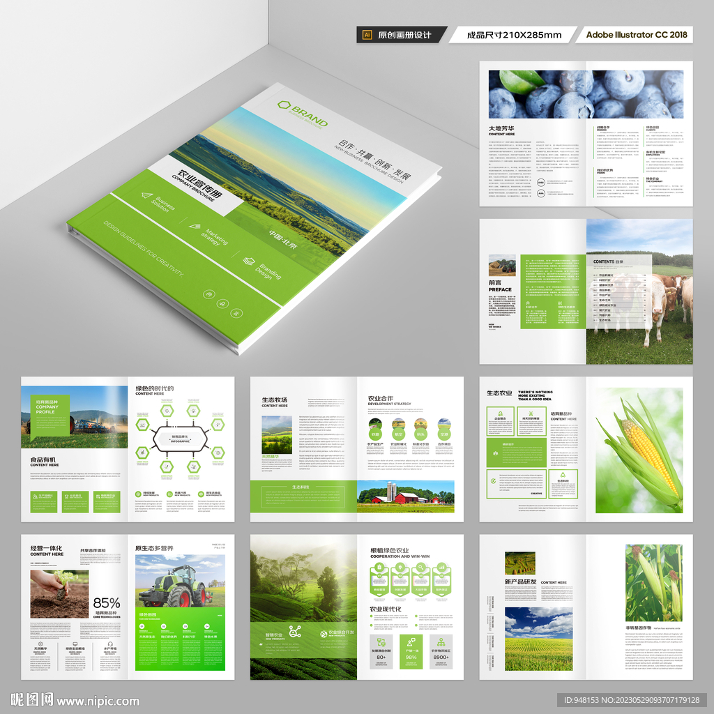 农产品宣传册