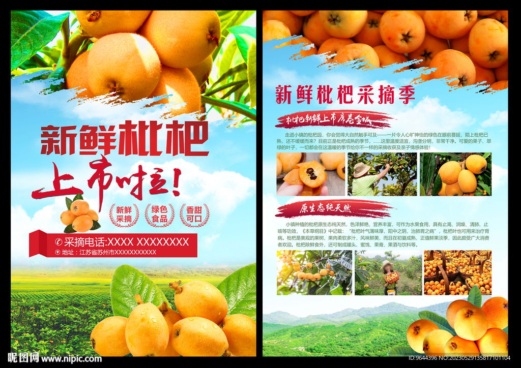 枇杷单页