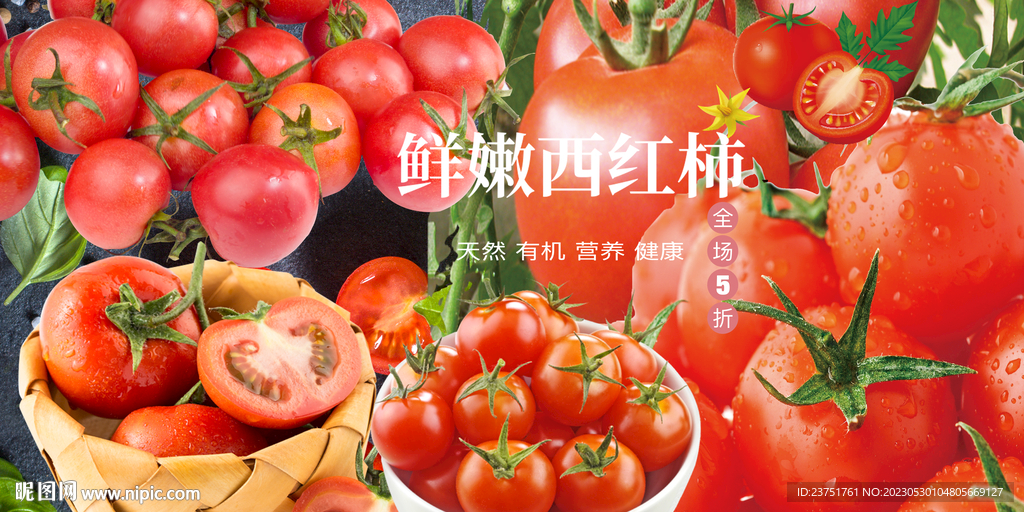 西红柿 