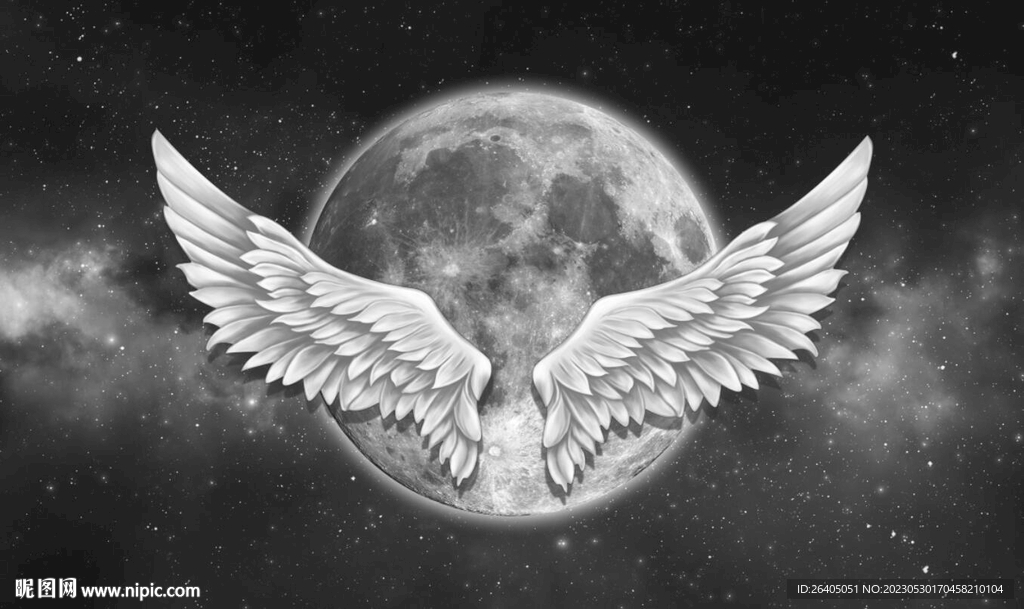 星空翅膀