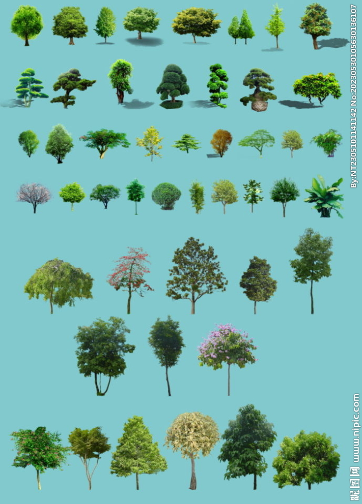 树木园林绿化素材