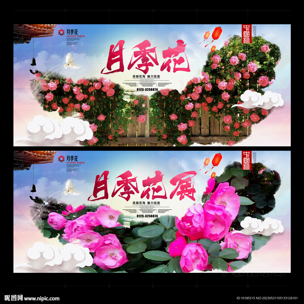 月季花