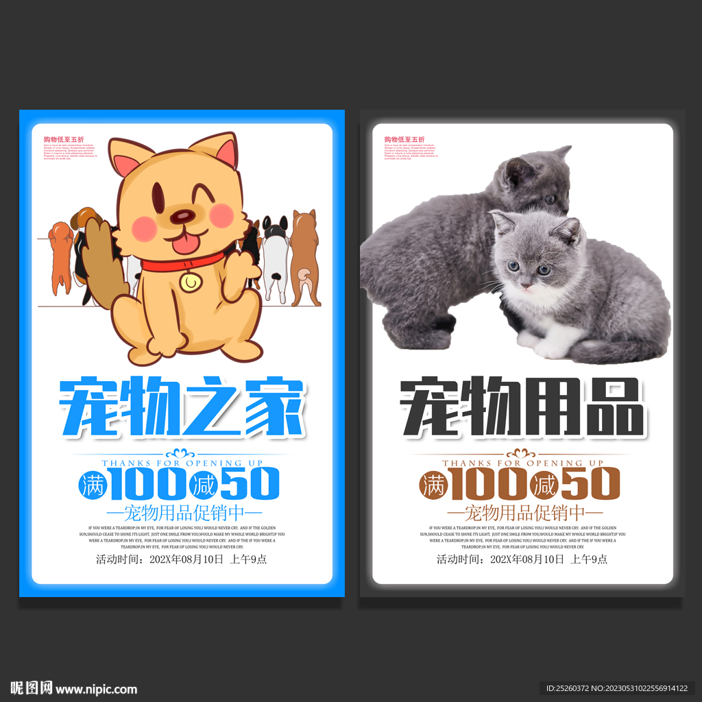 宠物