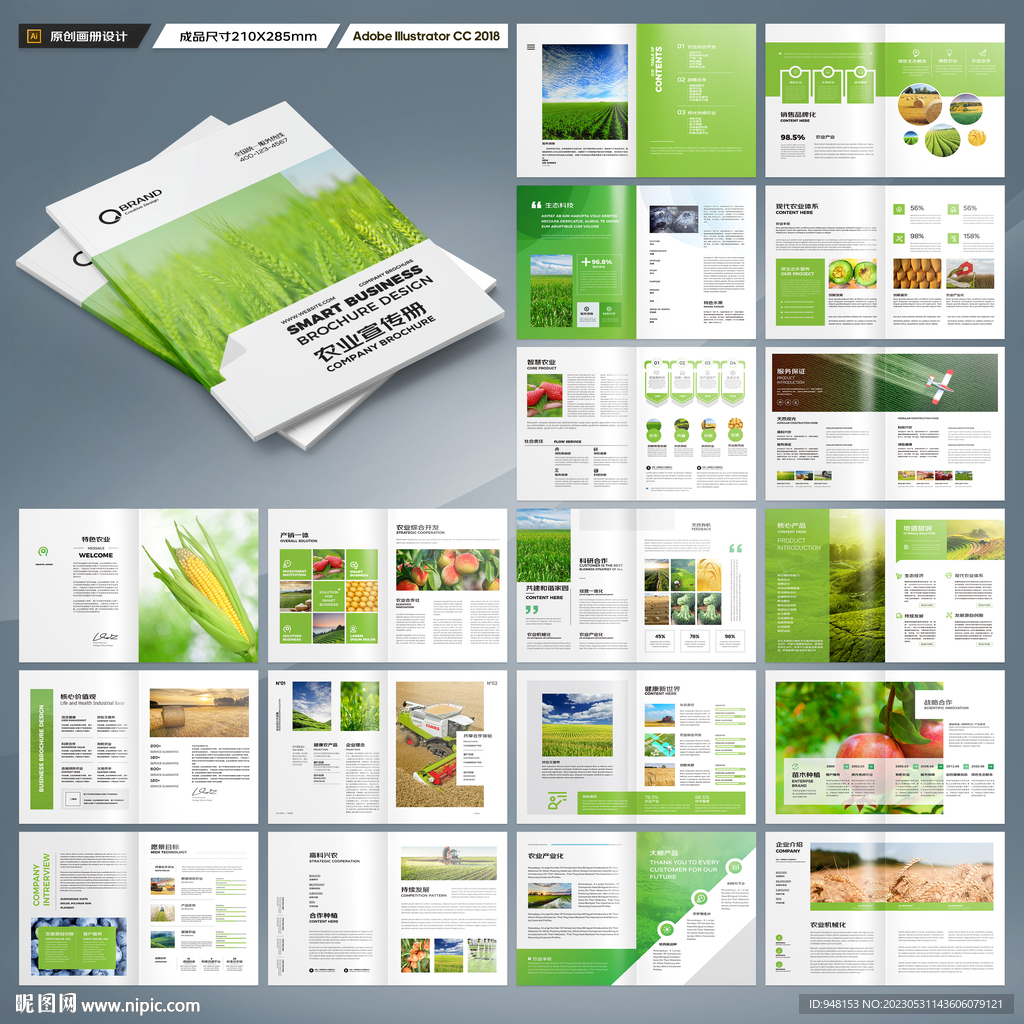 农产品宣传册
