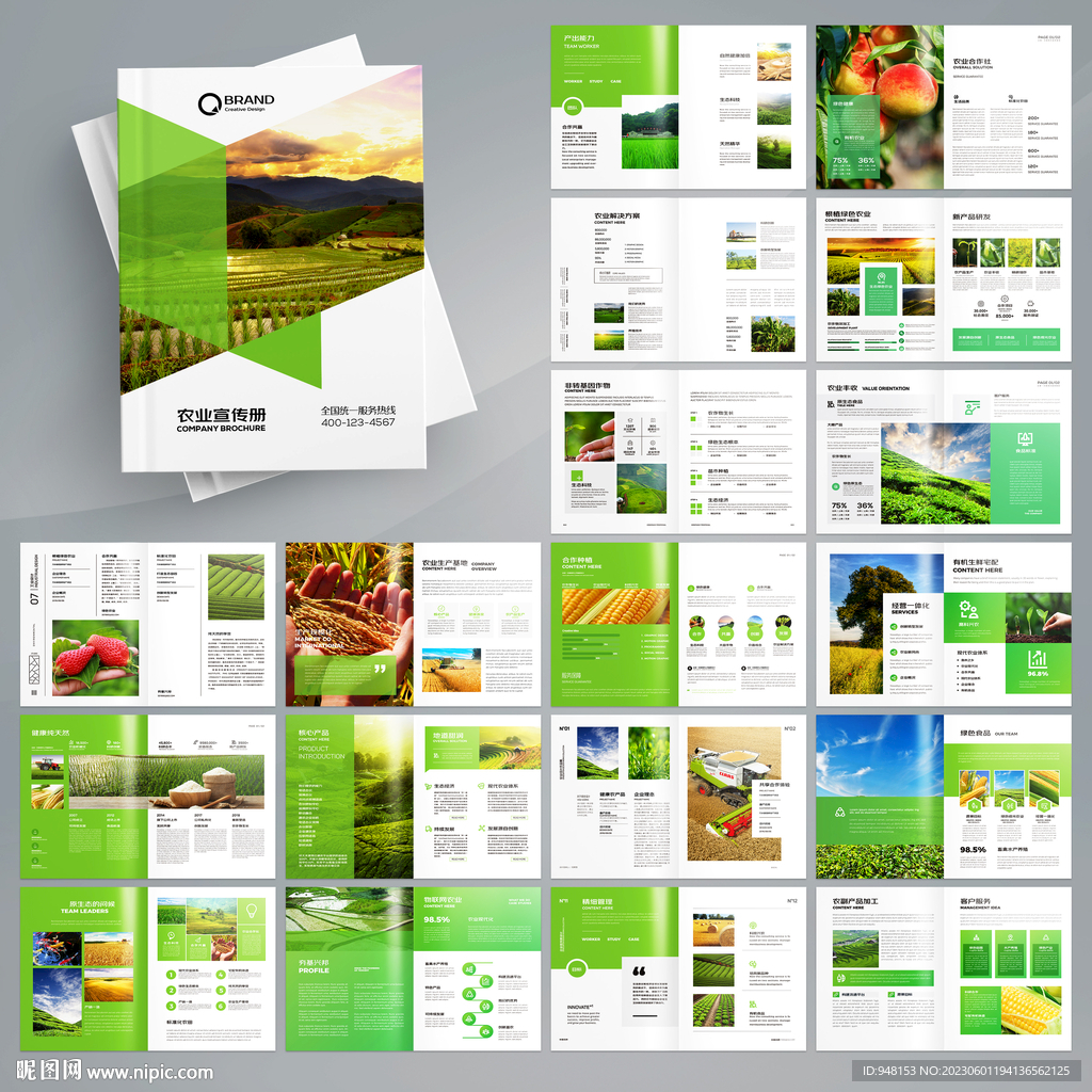 农产品宣传册