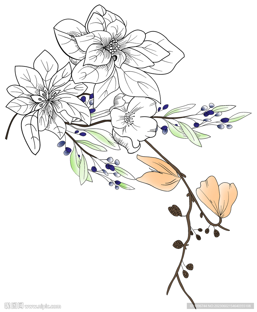 线条花