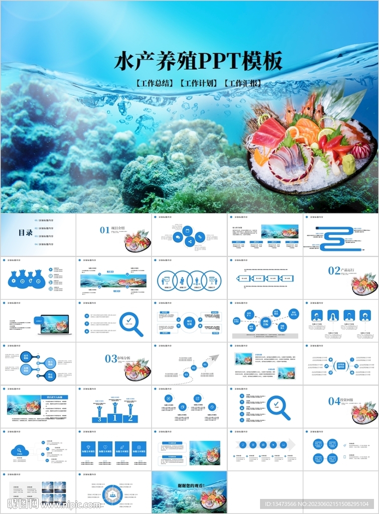 水产养殖海鲜ppt模板 
