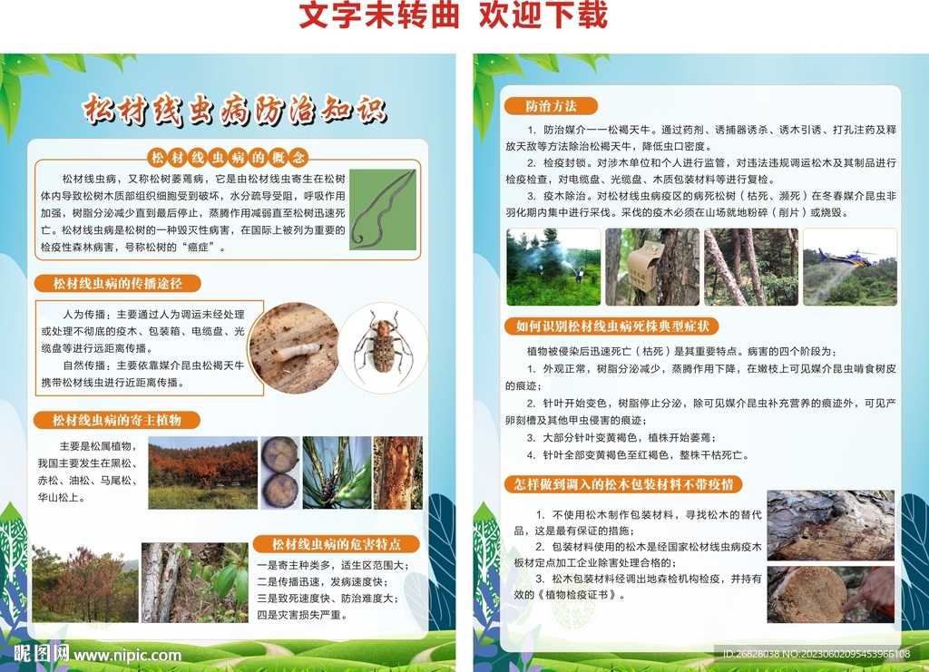 松材线虫病防治知识