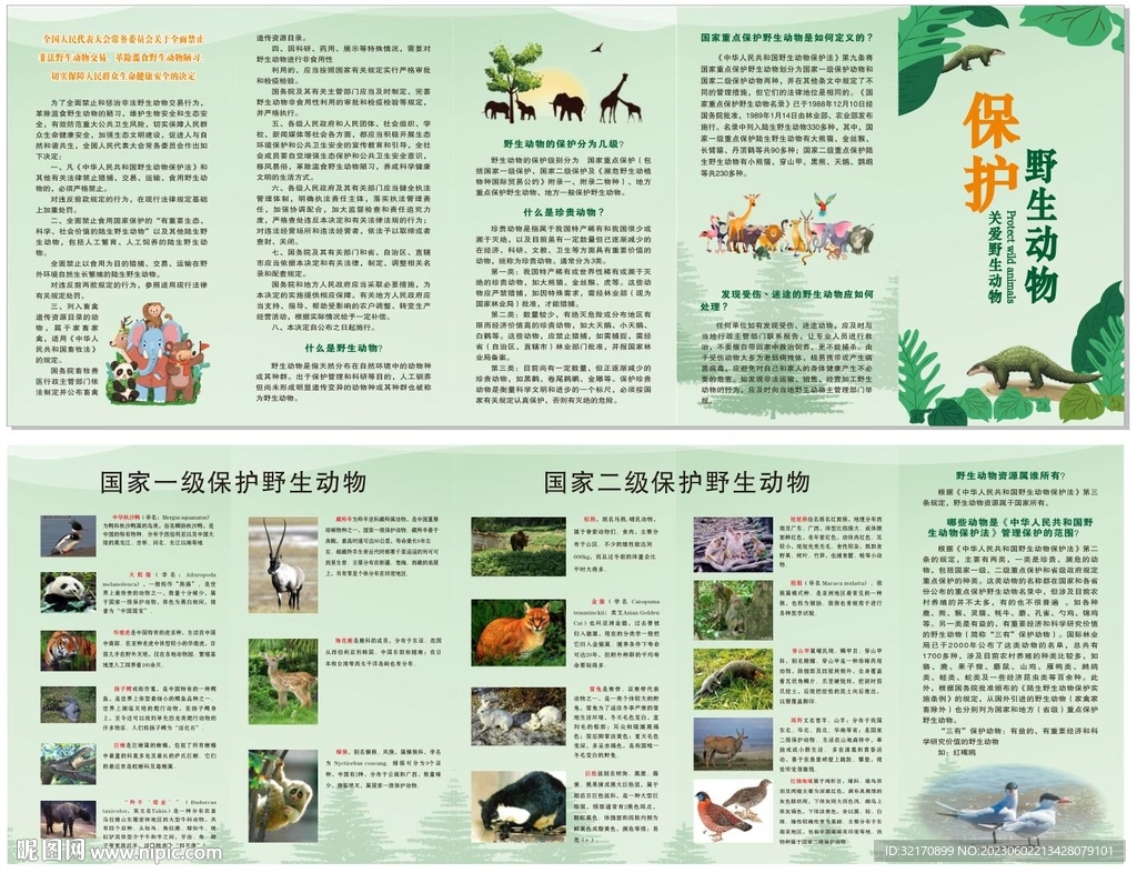 保护野生动物折页