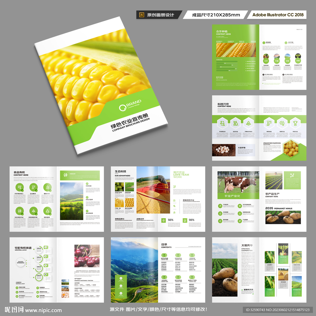 农产品宣传册