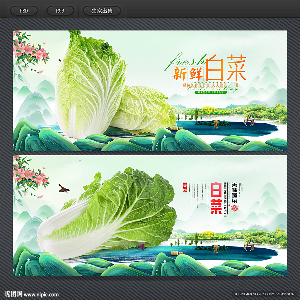白菜