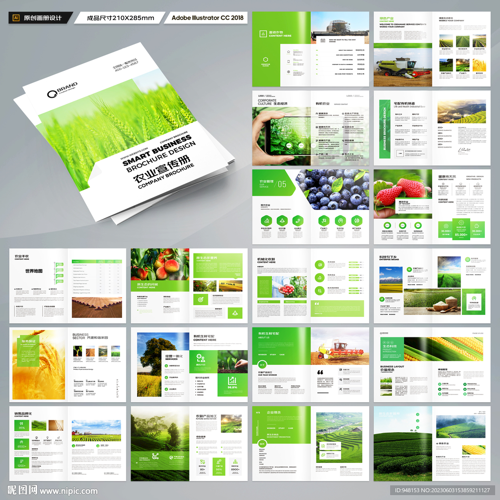 农业合作社画册