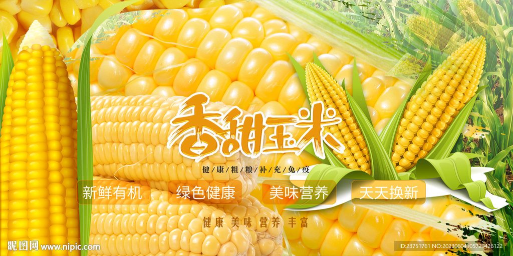 生玉米