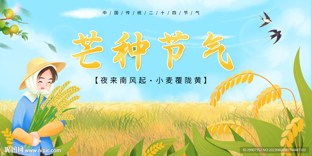 芒种海报