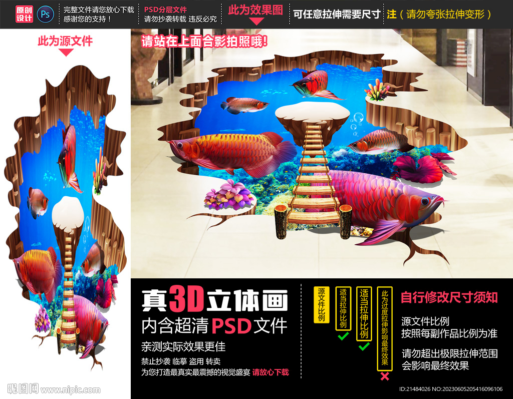 金龙鱼立体画