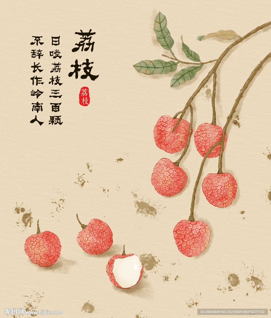 荔枝插画