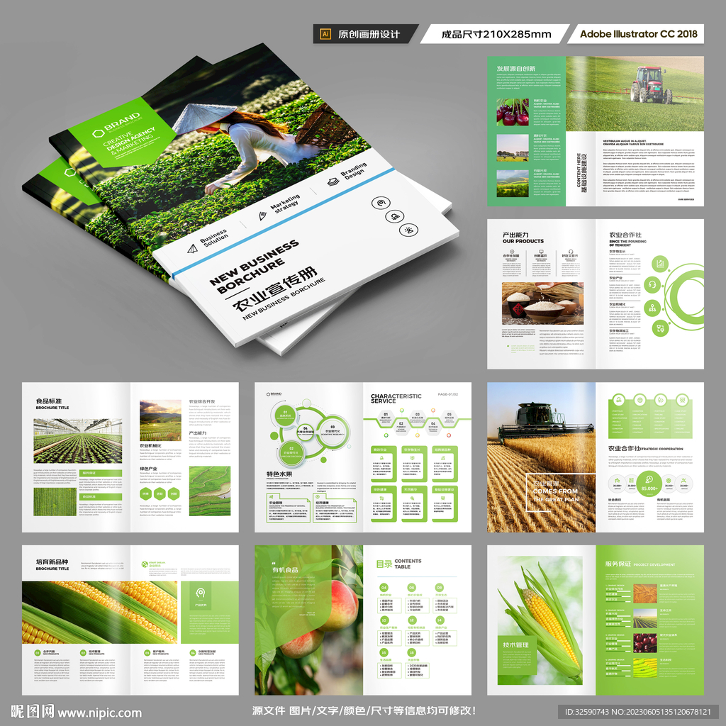 农产品宣传册