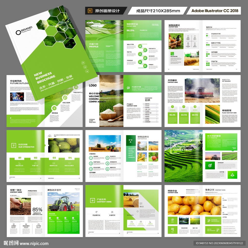 农产品宣传册