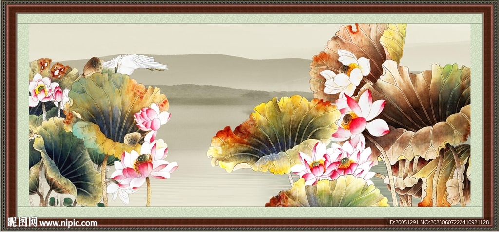 荷花 
