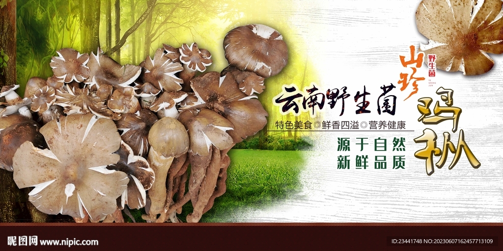 野生菌广告