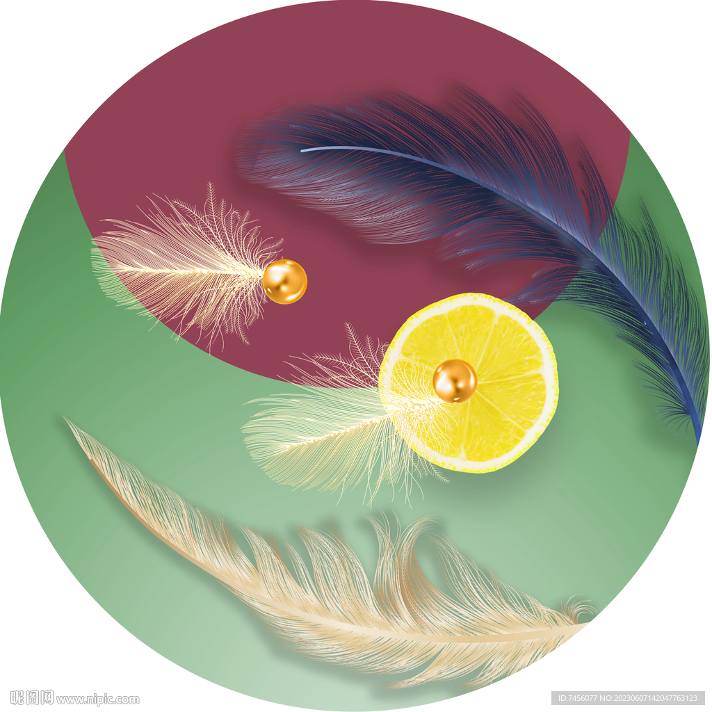 水彩羽毛柠檬片圆形挂画装饰画