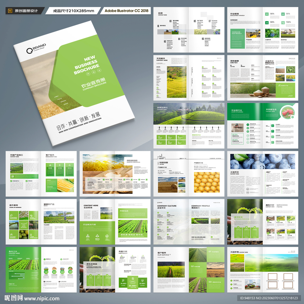 农产品宣传册