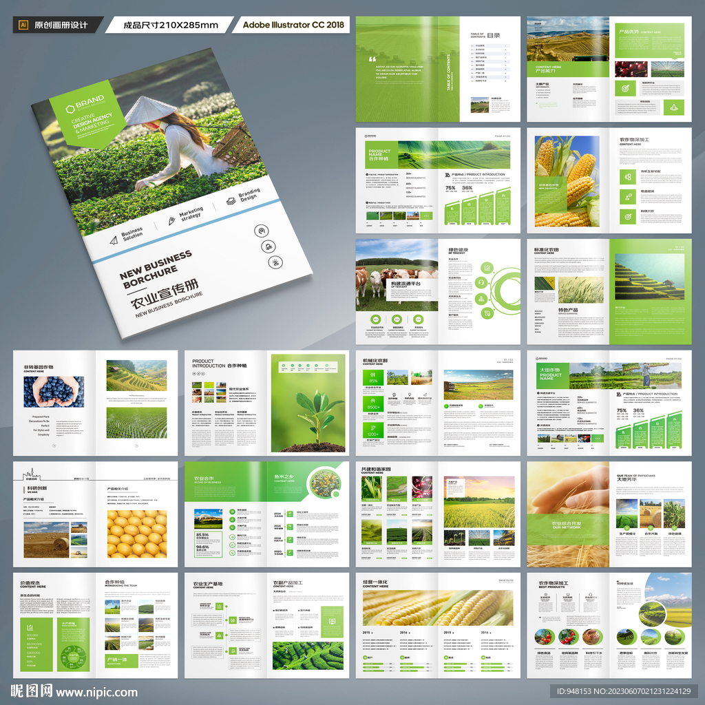 农产品画册