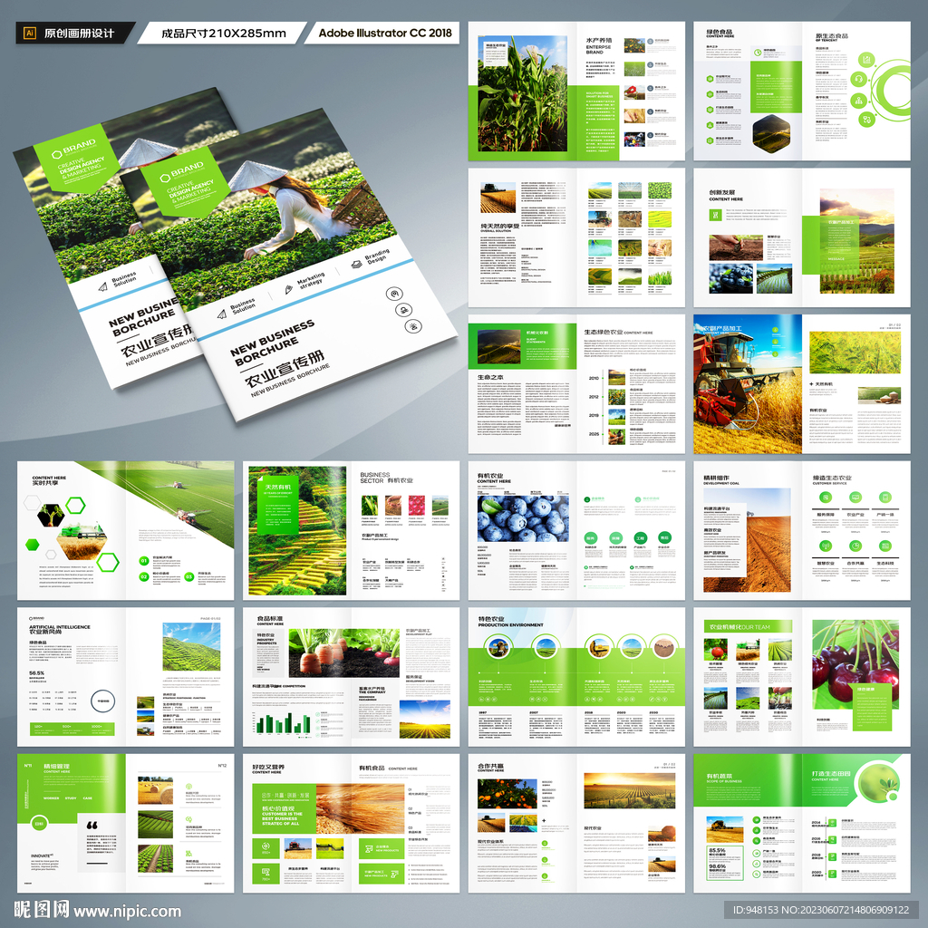 农业合作社画册