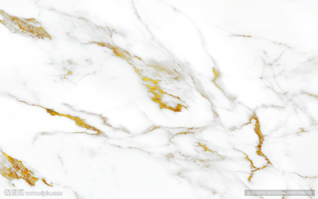 现代 金线新鱼肚白 tIF合层