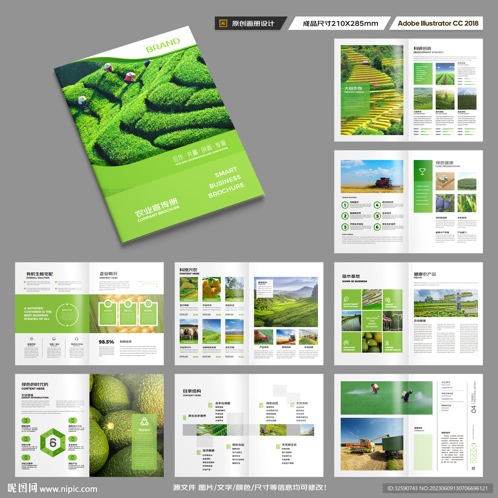 农产品宣传册