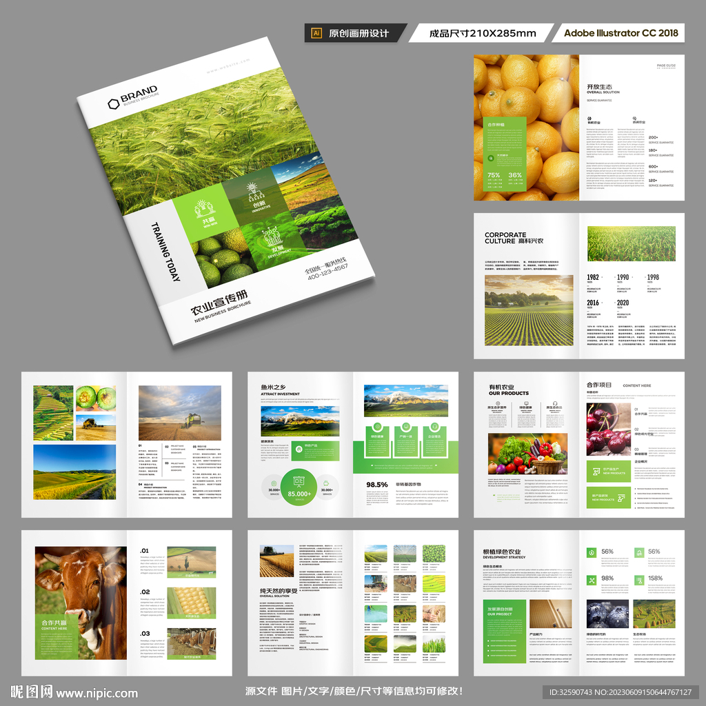 农产品宣传册