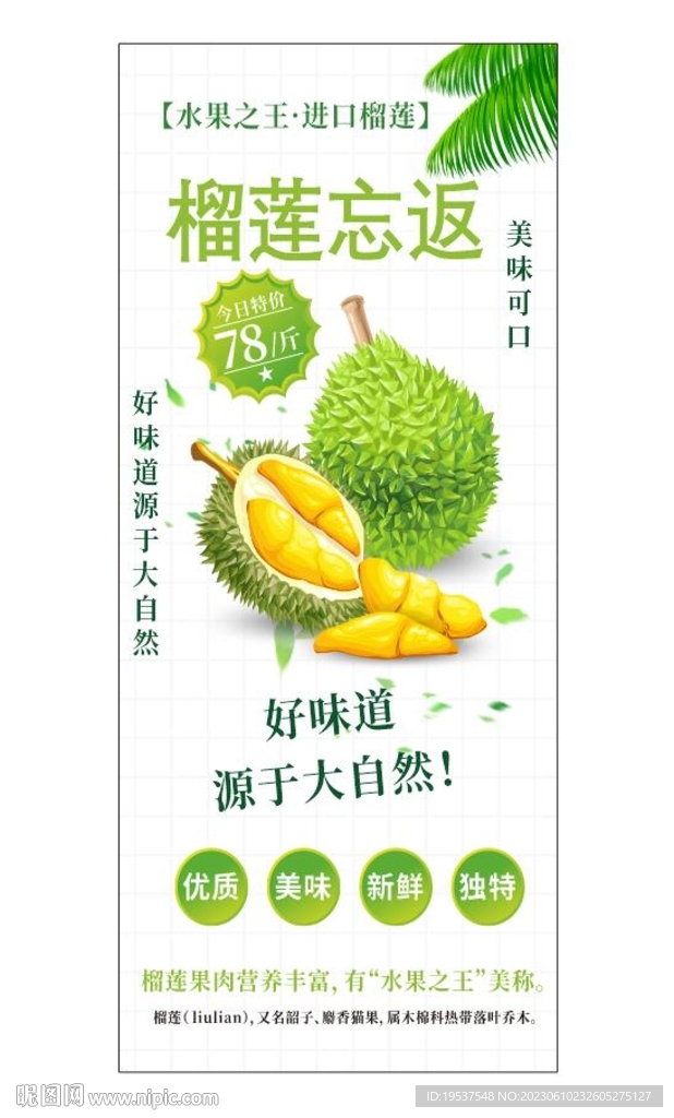 榴莲海报展架