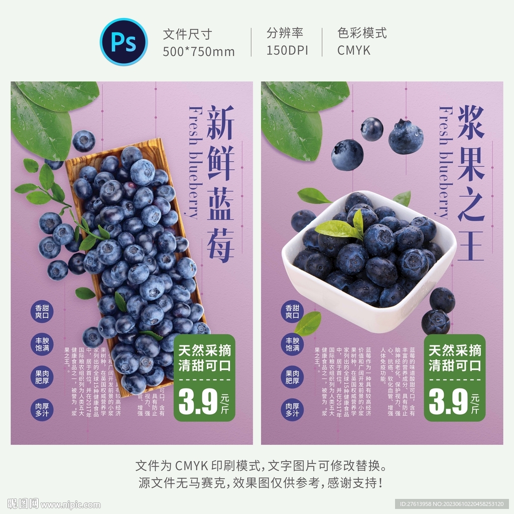 蓝莓海报