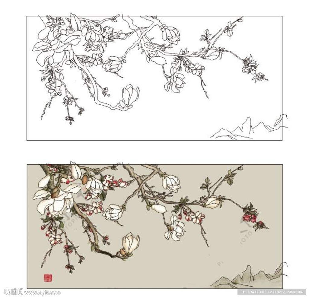 玉兰花